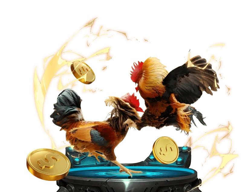 Máy chủ bảo mật và mã hóa dữ liệu của ku casino